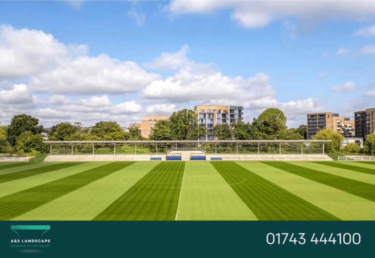 spectator canopy crystal palace fc training ground